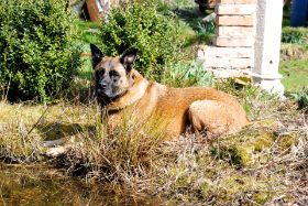 Anka + Bacardi Hartig 2014 - 1.JPG