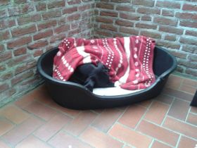 Mastropasqua - Stella 2014.jpg