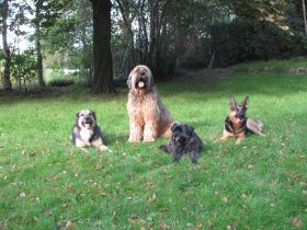 Blaschke - Joschi, Alfred, Baddy und Jule.JPG