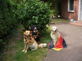 Floyd, Raik + Roxy WM 2010 - Nagel.jpg