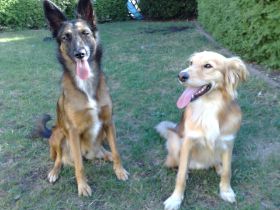 lina und Timmi - Schulinski.jpg
